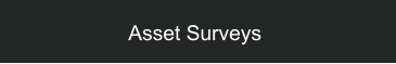 Asset Surveys